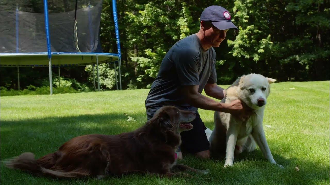 Safe for Families & Pets